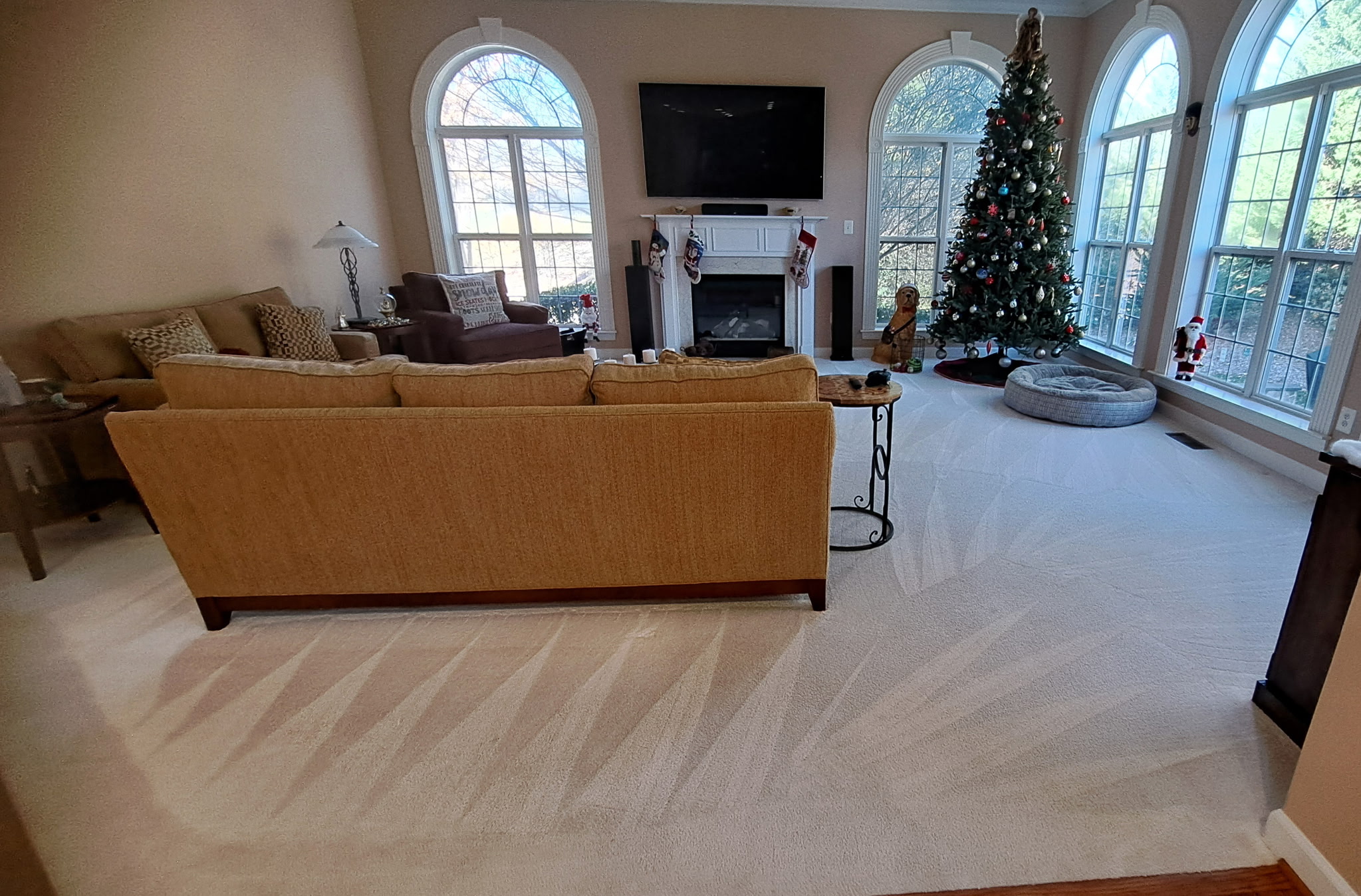 Sala — alfombra recién limpiada